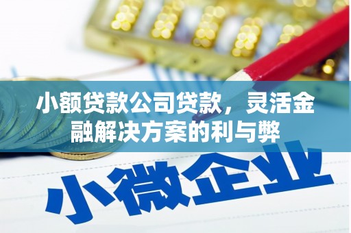 凤泉小额贷款公司贷款，灵活金融解决方案的利与弊